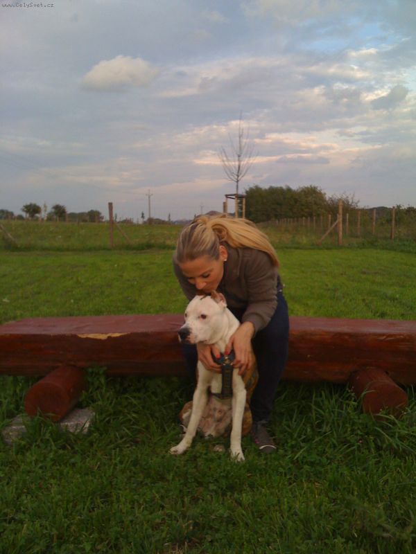 Foto: -....je�t� chci podotknout, �e tohoto pejska se ji� nepoda�ilo zachr�nit a p