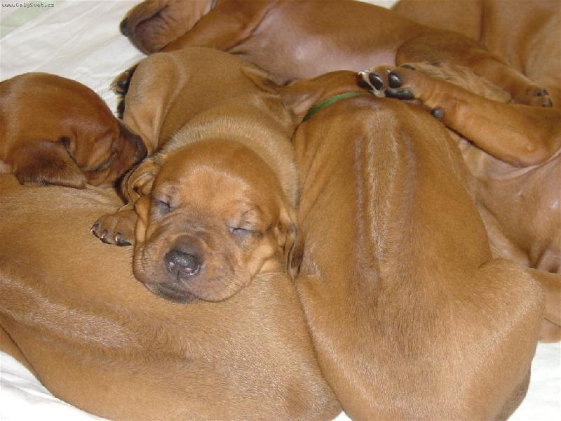 Foto: Hromada-�t���tka RR