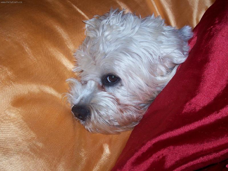 Foto: Maggy