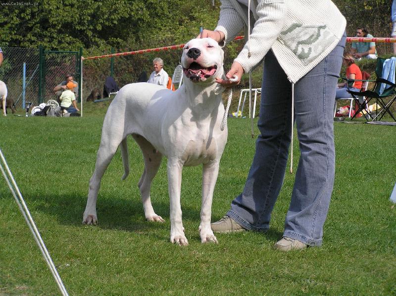 Foto: Atina od Mohyly m�ru - T��skov�-V�stava - V1,CAC