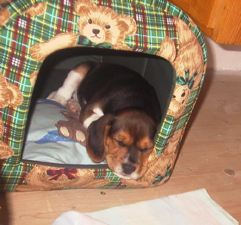 Foto: To se spink�!