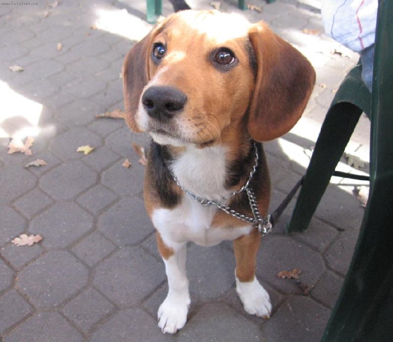 Foto: To je zaj�mav�!