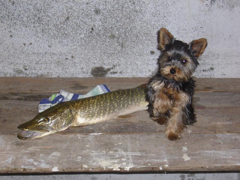 Foto: hmm nejak se mi to nezda asi utecu....