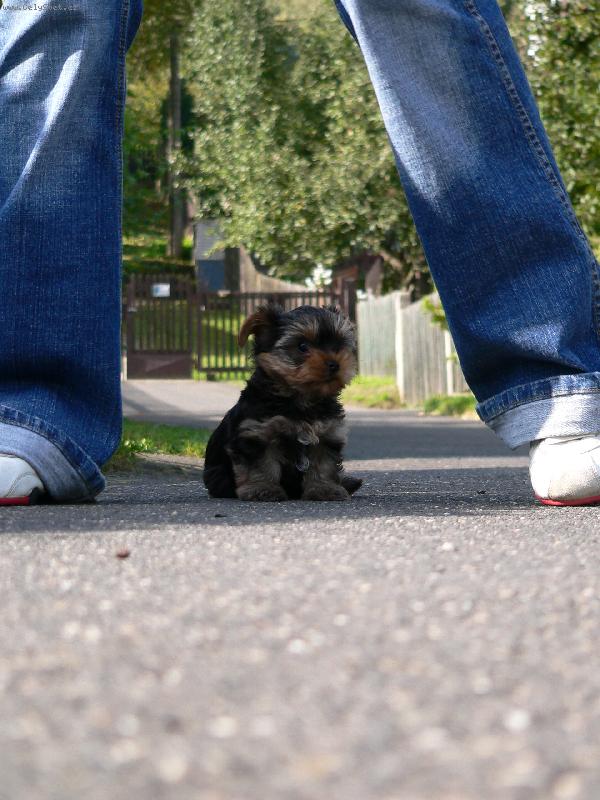 Foto: Rob�k-To jsem byl je�t� mal� miminko.