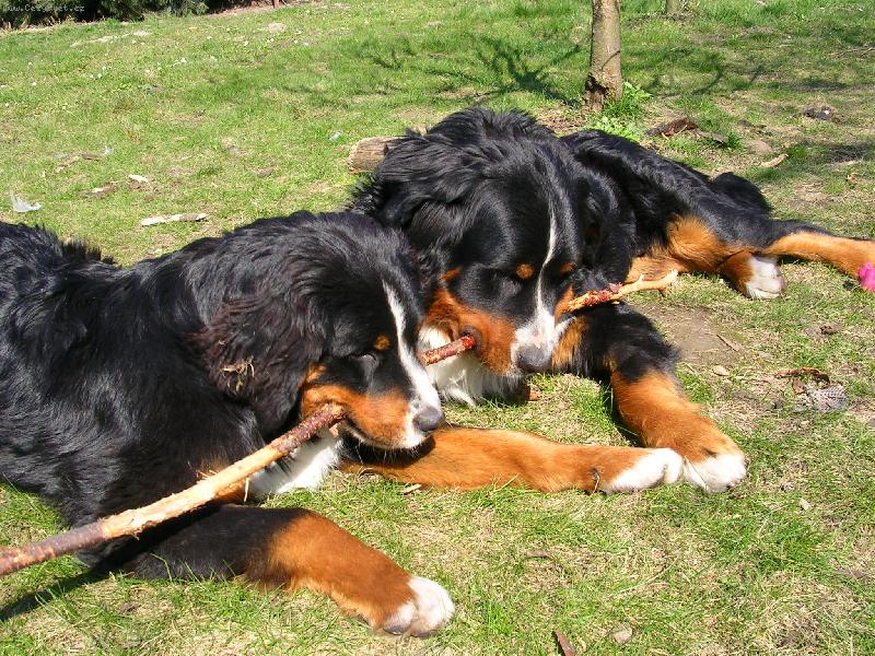 Foto: Max a Sam