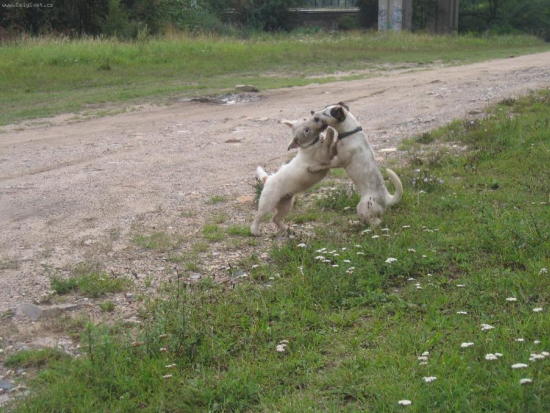 Foto: Arven a Annie
