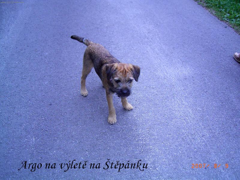 Foto: Argo raz� na proch�zku