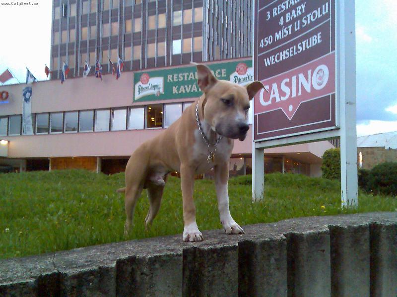 Foto: arny