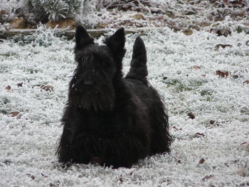 Foto: ve sv�m �ivlu