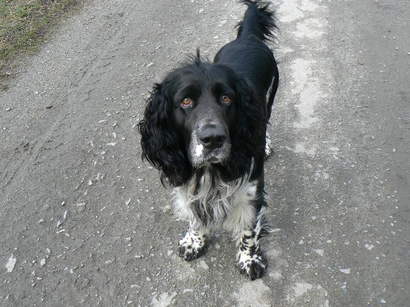 Foto: ned� mi kousek??