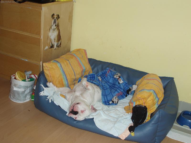 Foto: Pohodi�ka v pel�ku-:-)