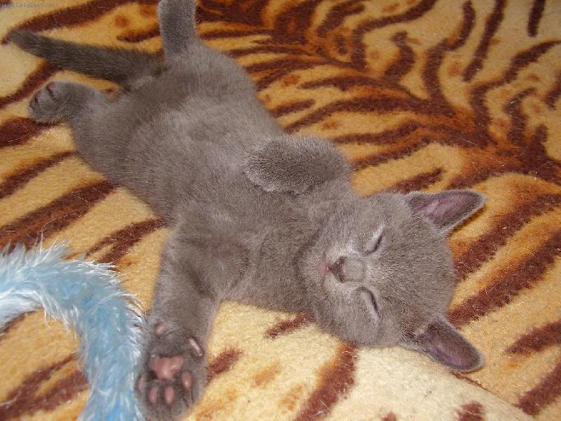 Foto: Leonardo-odpo�inek