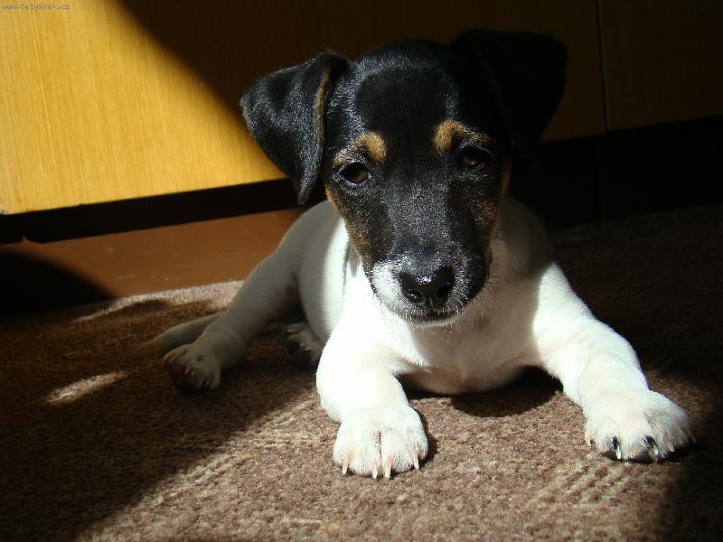 Foto: art-na slun��ku