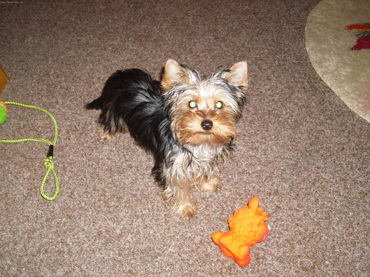 Foto: Jesika-na�e mimi