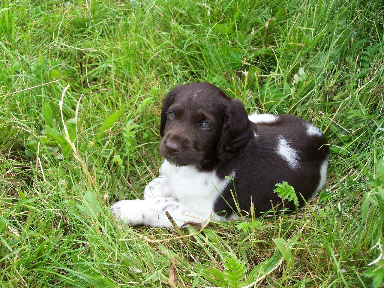 Foto: Saly-Saly 2 m�s�ce