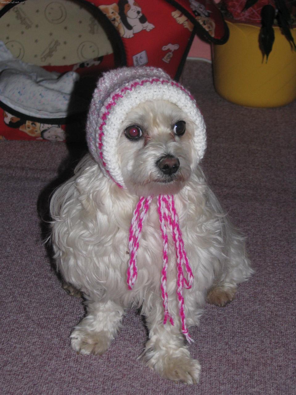 Foto: Kim z Broumova-pletla jsem �epi�ku pro miminko a nebylo ji kde vyzkou�et