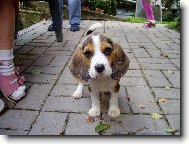 poprv� doma
