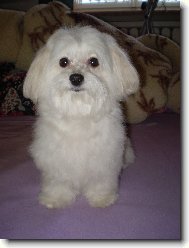 na�e Bety