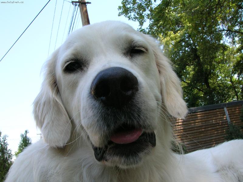 Foto: Pirinka poprv�