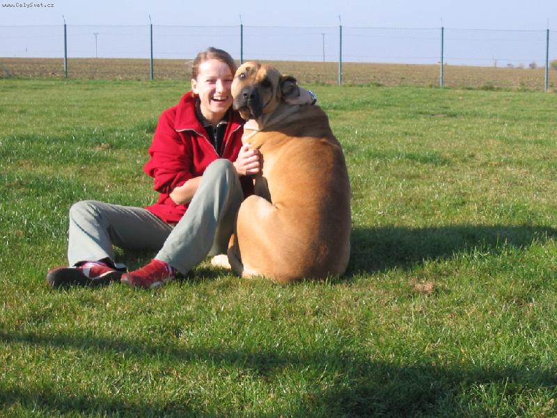 Foto: na�e zlat��ka-na�e zlat��ka