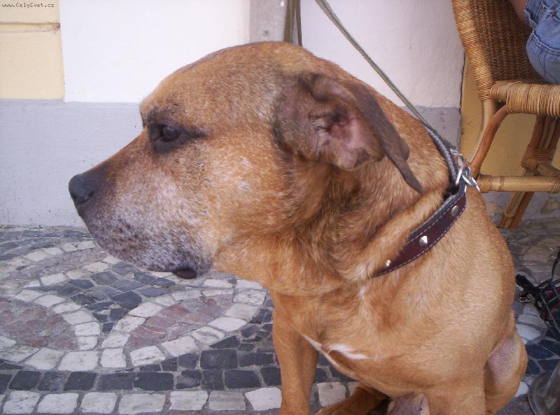 Foto: Luk�nek-To je nuda...