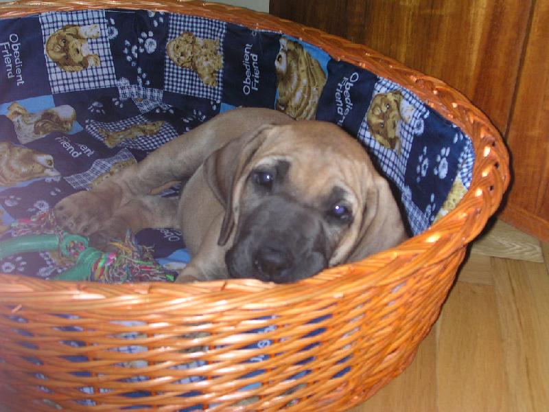 Foto: je�t� hodn� �t���tko Cori-na�e �t�st��ko