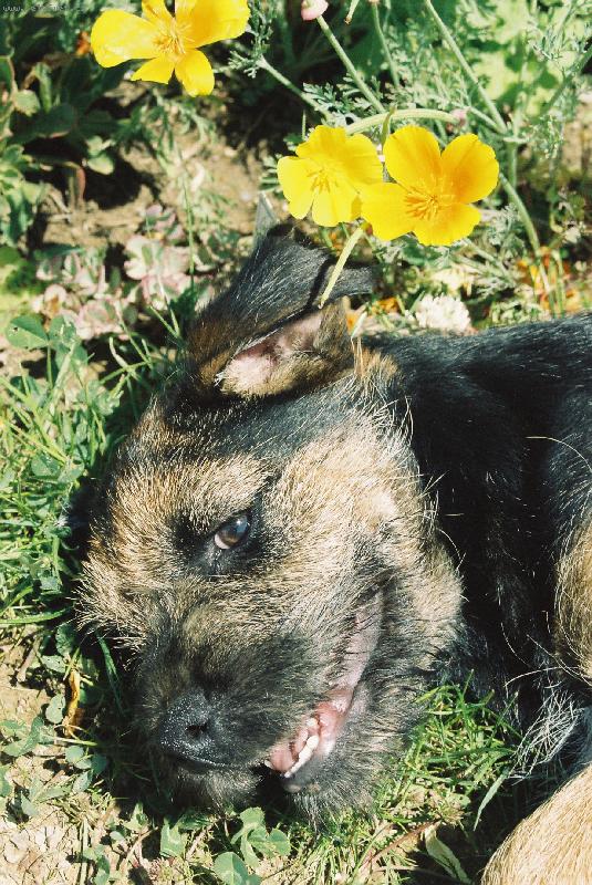 Foto: ...POJ� SI HR�T