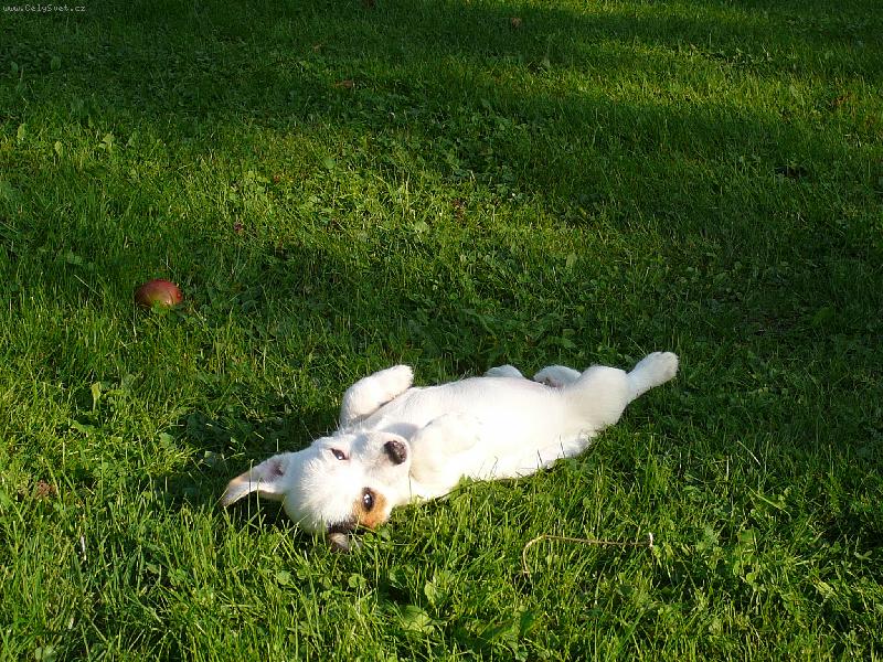 Foto: pohoda-Colet se kone�n� umoud�ila a relaxuje