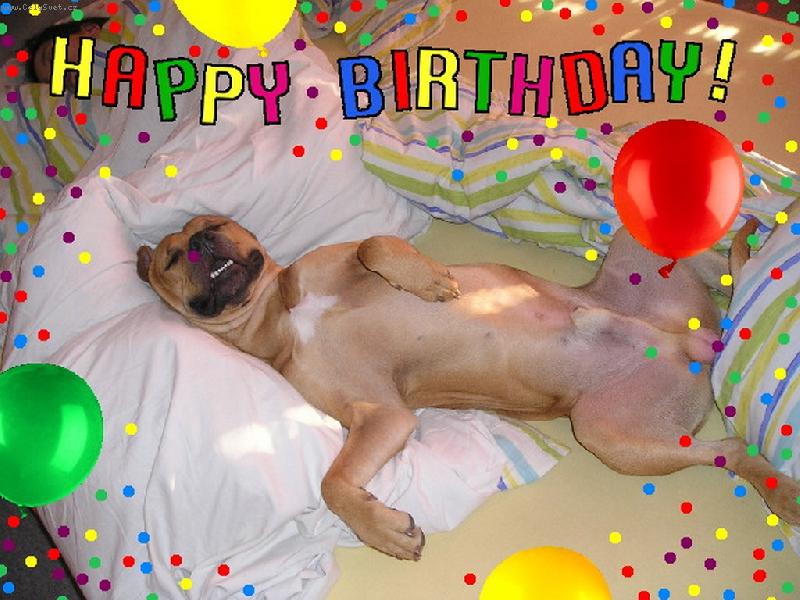 Foto: Bart�k-po jedn� oslav�