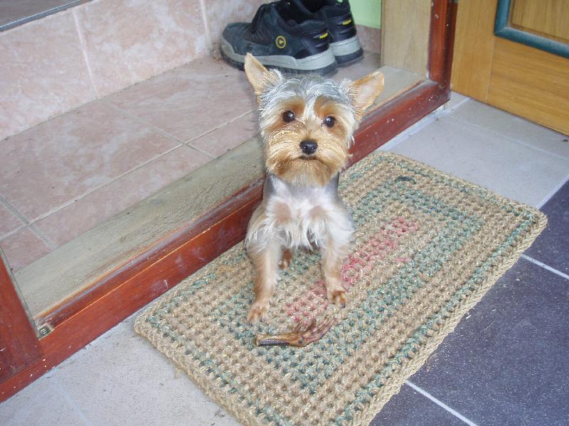 Foto: Zase m� fot�.-Jsem mil��ek p�n��k�.