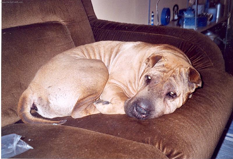 Foto: neru�it sp�m-Febinka