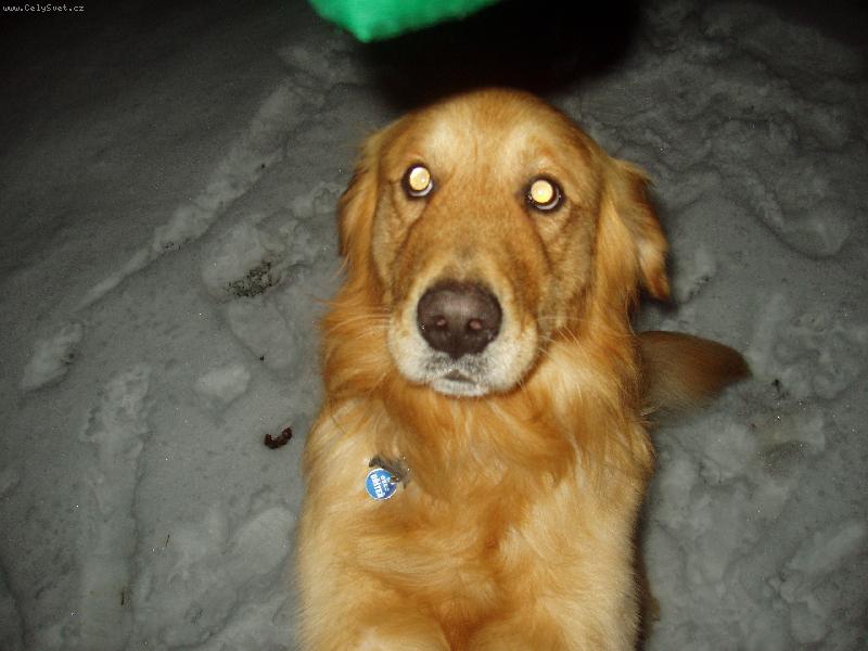 Foto: Tak u� mi to dej.....pros���m