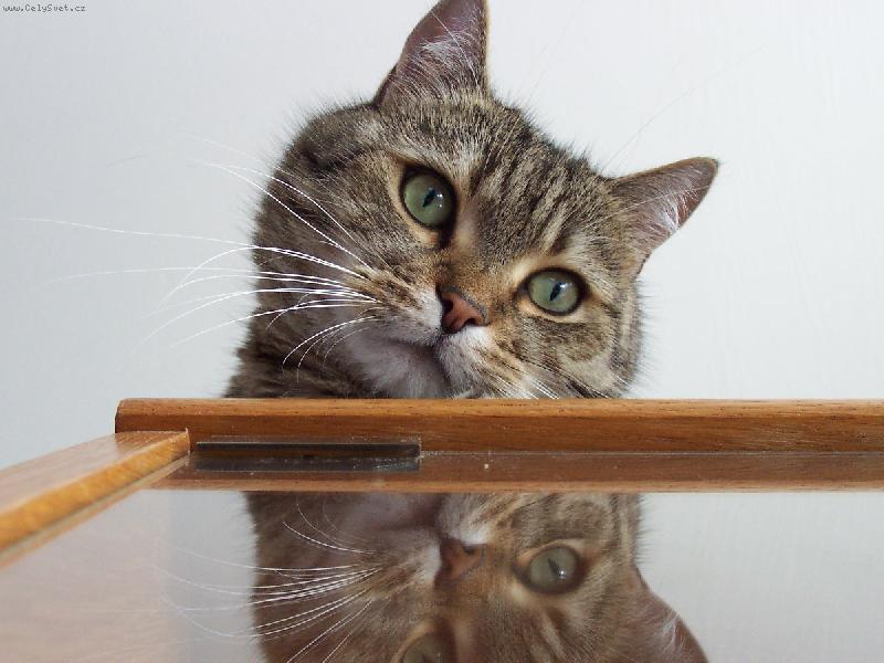 Foto: ...kuk...