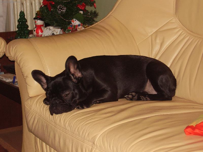 Foto: Lucky