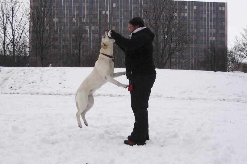 Foto: Aisha