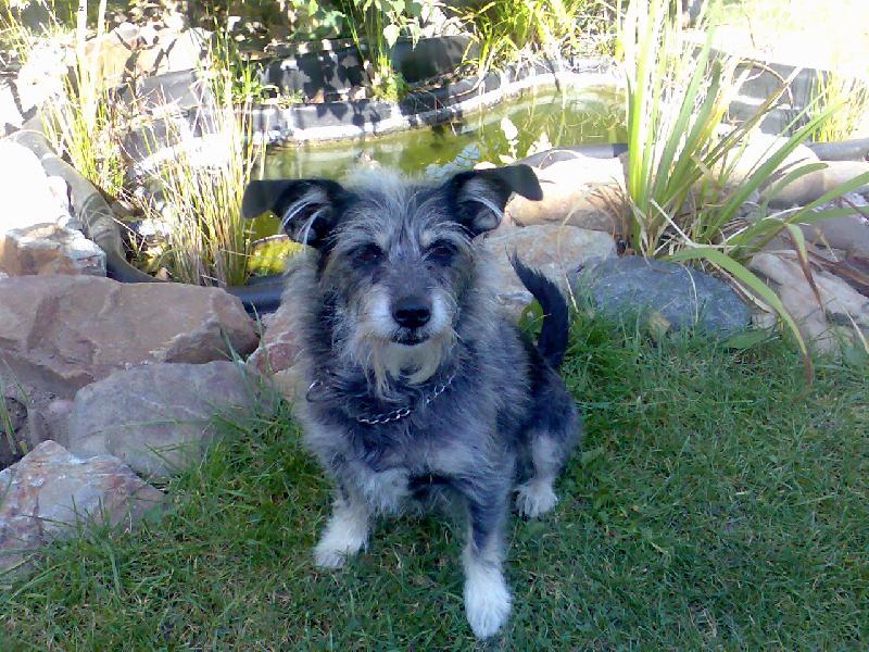 Foto: Bela-Letn� pohodi�ka na zahrad�