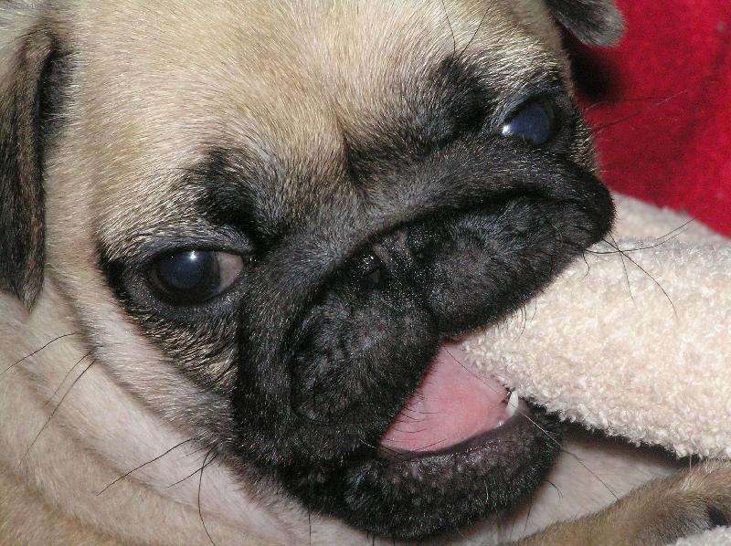 Foto: Hubert