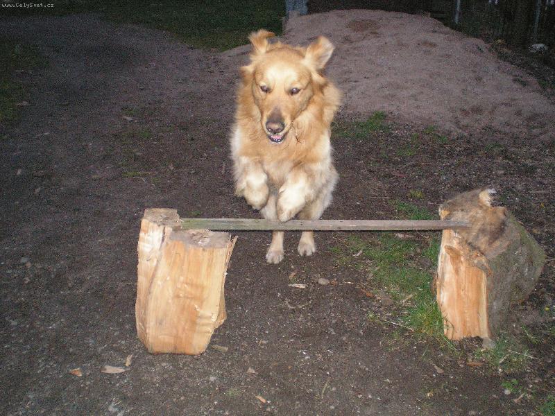 Foto: skokan:)-.......