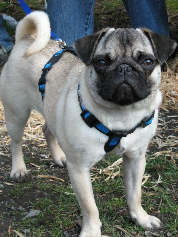 Foto: N� Damij�nek