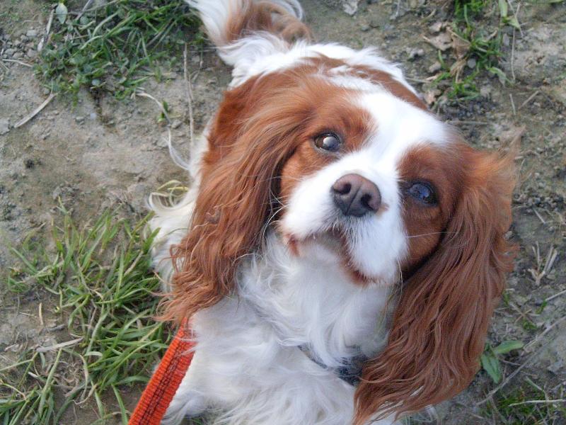 Foto: Luc��ka-jak to kouka:-) tomu neodolas a posles 5 bodu vid?:-*kujiiii