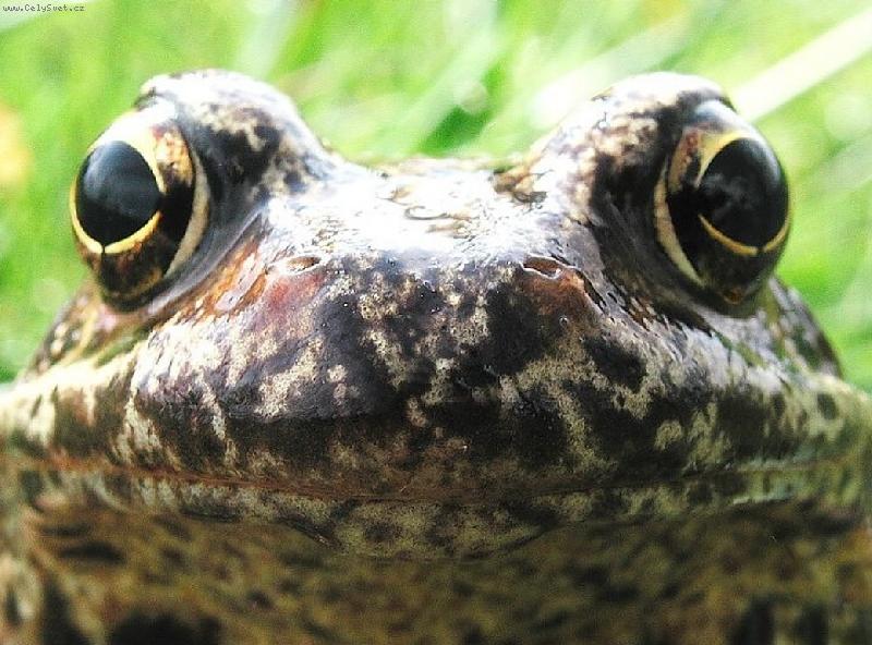 Foto: Polib m�.......