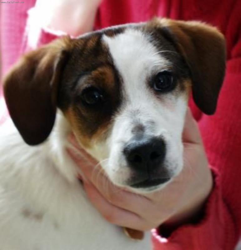 Foto: Modelka-Chv�le klidu, jen tak dlouh�, aby automat stihl zaost�it.