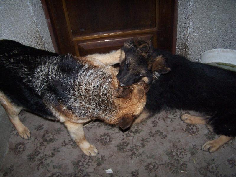 Foto: J� ti d�m