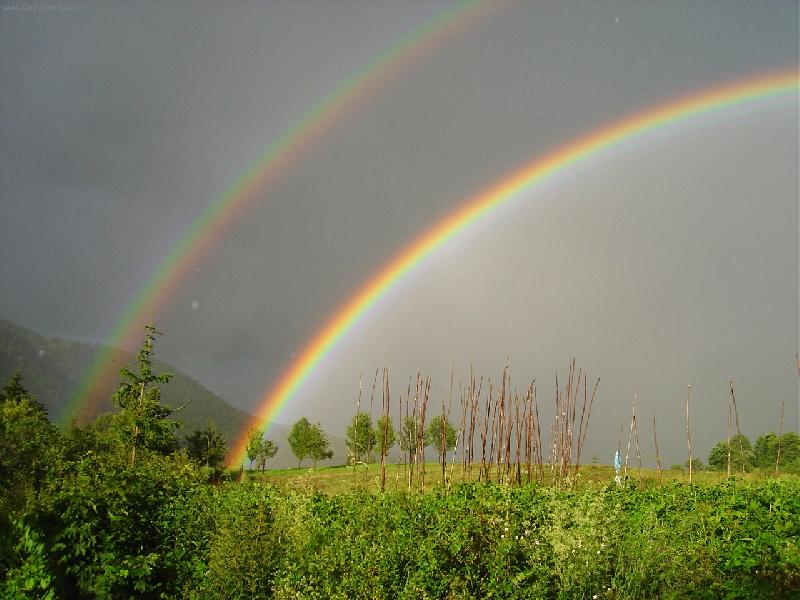 Foto: dvojit� d�t v slune�n�m jase-i takto m��e vypadat dovolen�