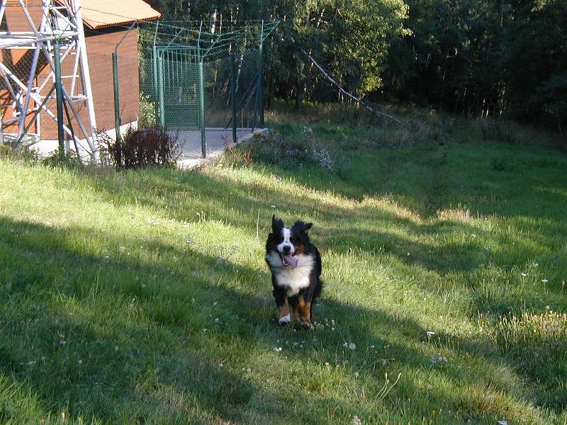 Foto: ...