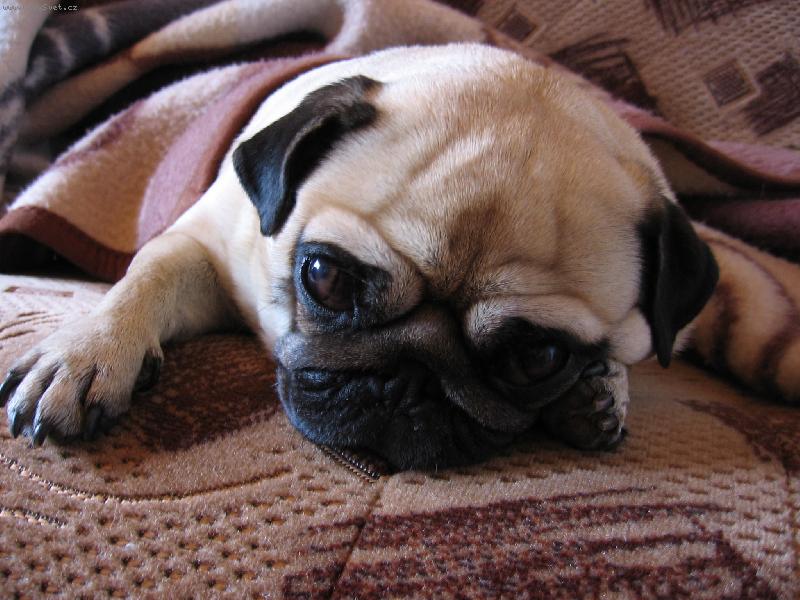 Foto: Maggie