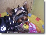 Spik� s �epi�kou a hra�kou