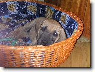 je�t� hodn� �t���tko Cori