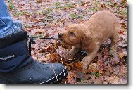 ... a stejn� t� p�eperu