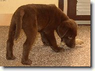 Tak, a m�m t� ;-)